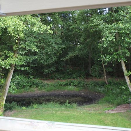 Landhuisjes Bij De Wouterbron Opglabbeek Phòng bức ảnh