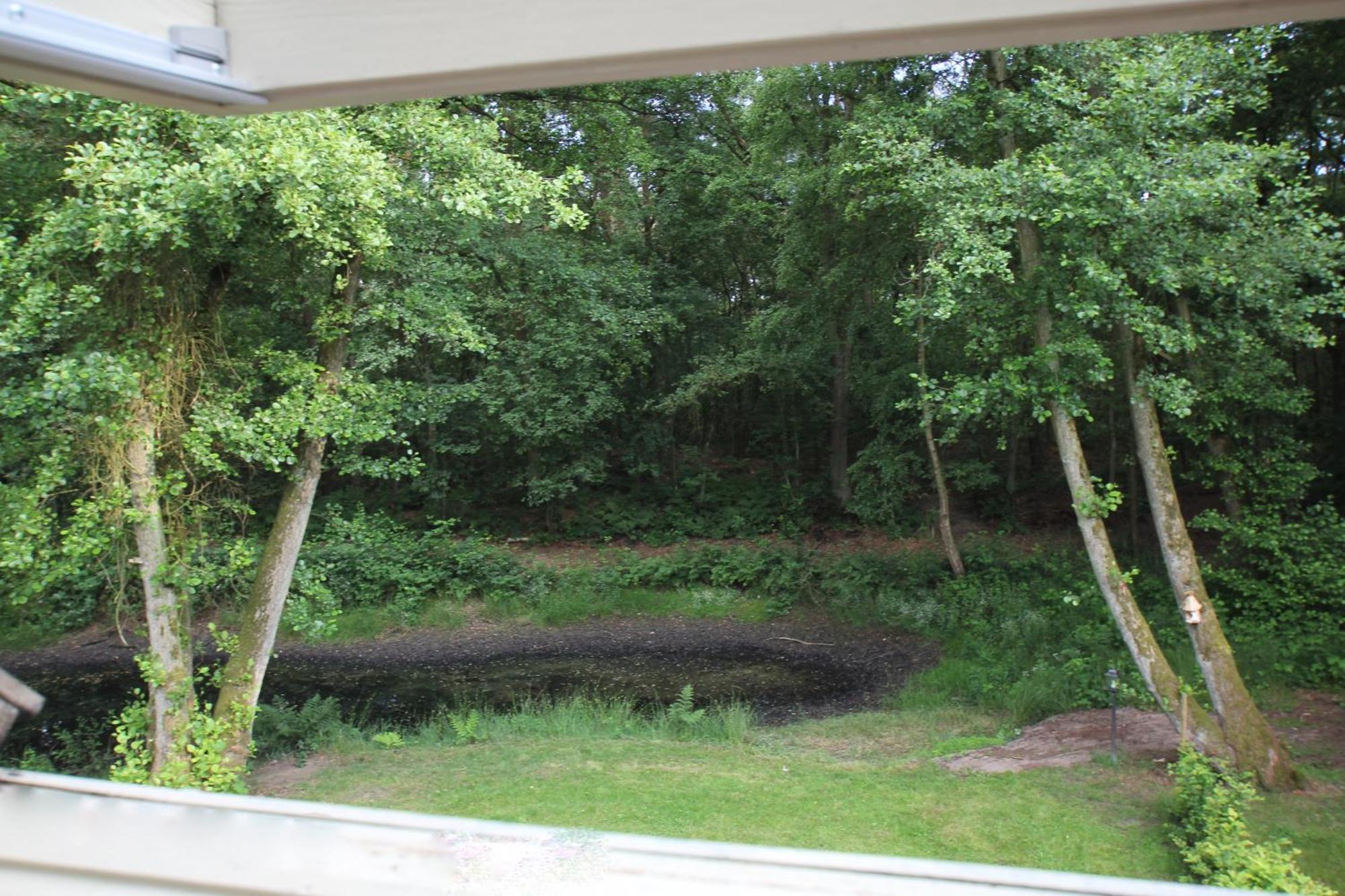 Landhuisjes Bij De Wouterbron Opglabbeek Phòng bức ảnh