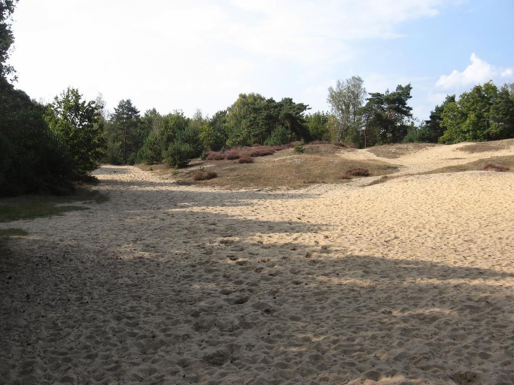 Landhuisjes Bij De Wouterbron Opglabbeek Ngoại thất bức ảnh