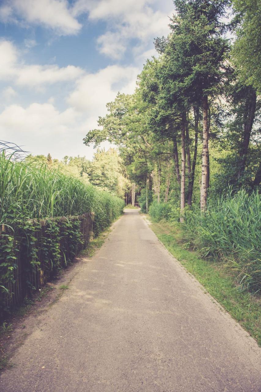 Landhuisjes Bij De Wouterbron Opglabbeek Ngoại thất bức ảnh