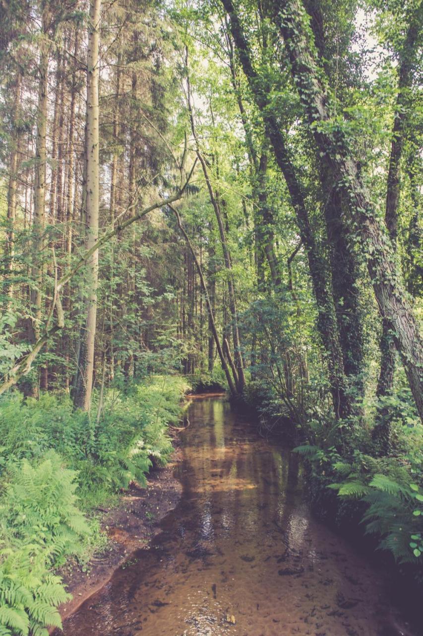Landhuisjes Bij De Wouterbron Opglabbeek Ngoại thất bức ảnh